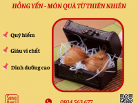 Yến Cam