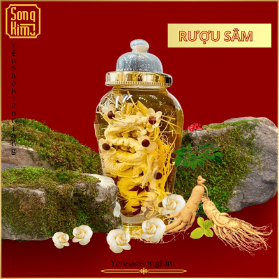 Rượu sâm long phụng - Lớn