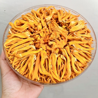 Đông Trùng Hạ Thảo Sấy Thăng Hoa 