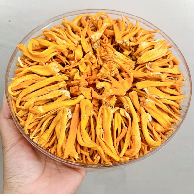 Đông Trùng Hạ Thảo Sấy Thăng Hoa 