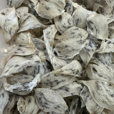 Yến Thô (100gram)