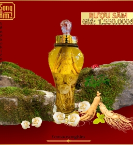 Rượu sâm ông già 