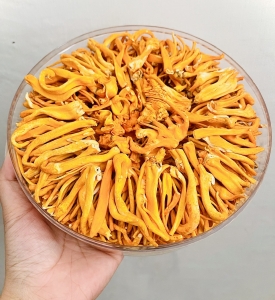 Đông Trùng Hạ Thảo Sấy Thăng Hoa 