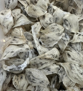 Yến Thô (100gram) - yến sào Song Kim