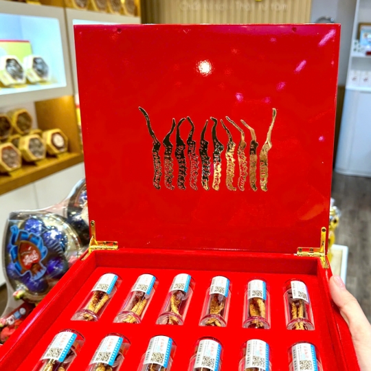 Đông Trùng Hạ Thảo Tây Tạng Thượng Hạng - Đông Trùng Tây Tạng Nguyên Con