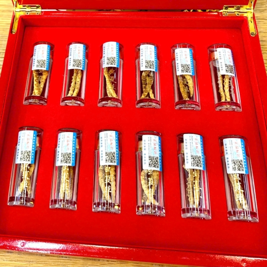 Đông Trùng Hạ Thảo Tây Tạng Thượng Hạng - Đông Trùng Tây Tạng Nguyên Con