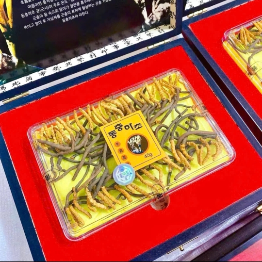 Đông Trùng Hạ Thảo Hàn Quốc – Nguyên Con (45gr)