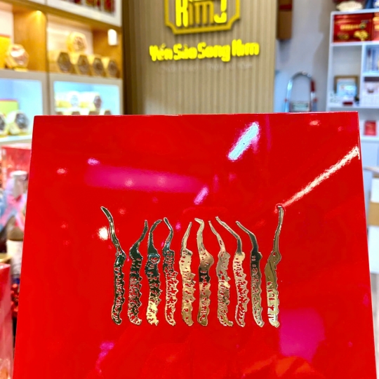 Đông Trùng Hạ Thảo Tây Tạng Thượng Hạng - Đông Trùng Tây Tạng Nguyên Con