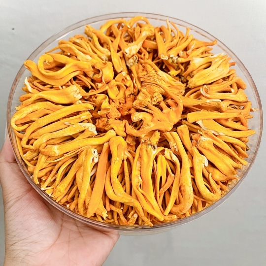 Đông Trùng Hạ Thảo Sấy Thăng Hoa 