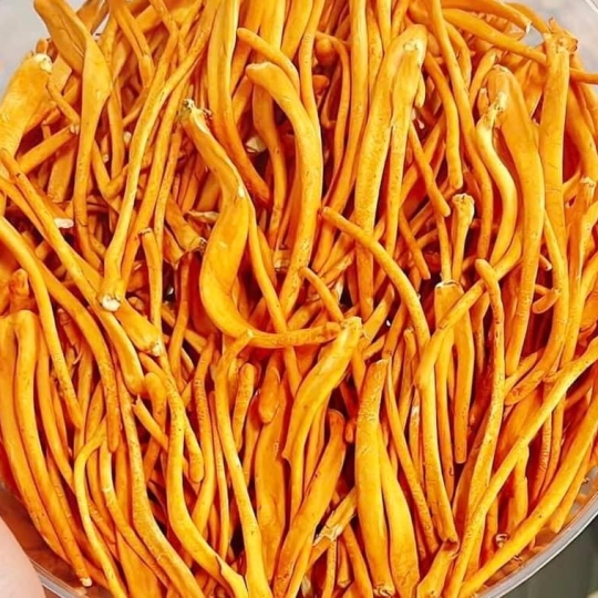 Đông Trùng Hạ Thảo Sấy Thăng Hoa 